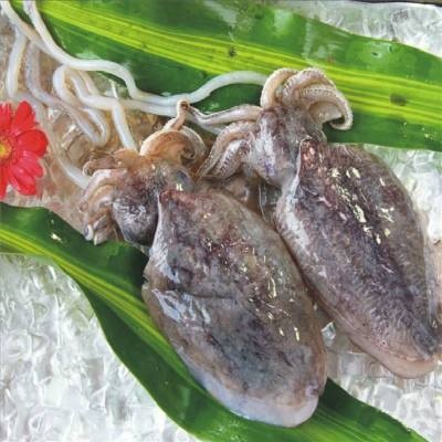 冰鮮大(dà)墨魚